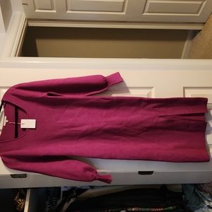 NWT pink Balloon sleeve sweater dress